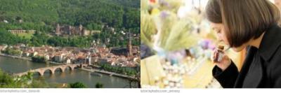 Heidelberg Bachblütentherapie Heidelberg Bachblütentherapie