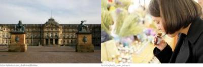 Stuttgart Bachblütentherapie Stuttgart Bachblütentherapie