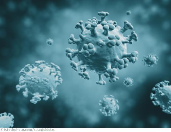 Meningitis Meningitis