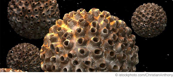 HPV HPV