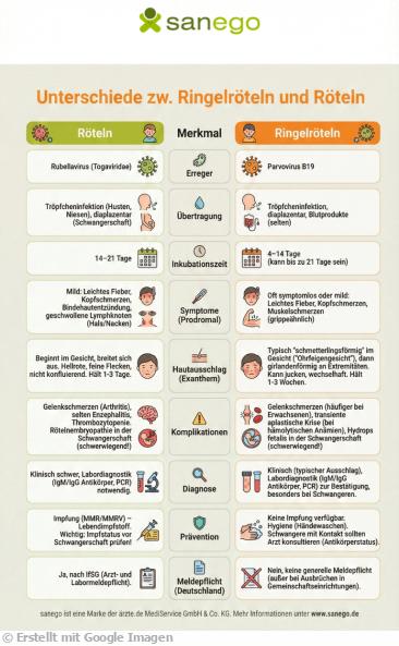 Infografik mit den Unterschieden zwischen Ringelröteln und Röteln.