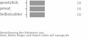 33% gesetzlich versichert,33% privat versichert,33% Selbstzahler Bild