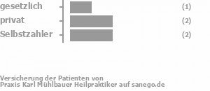 33% gesetzlich versichert,33% privat versichert,33% Selbstzahler Bild