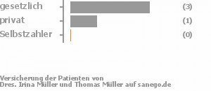 88% gesetzlich versichert,13% privat versichert,0% Selbstzahler Bild