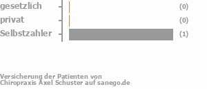 50% gesetzlich versichert,0% privat versichert,50% Selbstzahler Bild