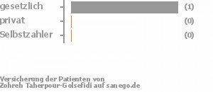 100% gesetzlich versichert,0% privat versichert,0% Selbstzahler 100% gesetzlich versichert,0% privat versichert,0% Selbstzahler Bild