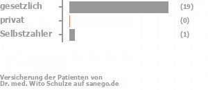 91% gesetzlich versichert,0% privat versichert,9% Selbstzahler Bild