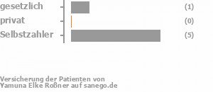 14% gesetzlich versichert,0% privat versichert,86% Selbstzahler Bild