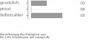 33% gesetzlich versichert,0% privat versichert,67% Selbstzahler 33% gesetzlich versichert,0% privat versichert,67% Selbstzahler Bild