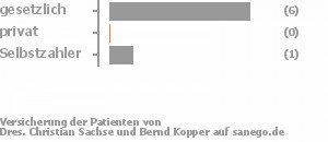 88% gesetzlich versichert,0% privat versichert,13% Selbstzahler 88% gesetzlich versichert,0% privat versichert,13% Selbstzahler Bild