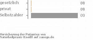 33% gesetzlich versichert,0% privat versichert,33% Selbstzahler Bild
