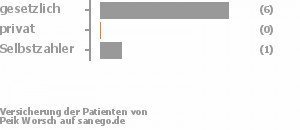 88% gesetzlich versichert,0% privat versichert,13% Selbstzahler Bild