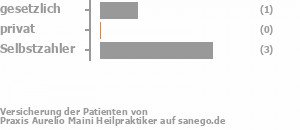 38% gesetzlich versichert,0% privat versichert,63% Selbstzahler Bild