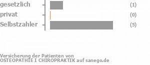 13% gesetzlich versichert,0% privat versichert,75% Selbstzahler Bild
