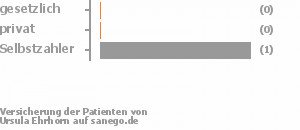 33% gesetzlich versichert,33% privat versichert,33% Selbstzahler Bild