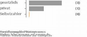 60% gesetzlich versichert,20% privat versichert,0% Selbstzahler Bild