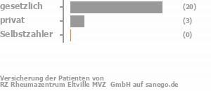 87% gesetzlich versichert,13% privat versichert,0% Selbstzahler Bild