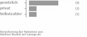 67% gesetzlich versichert,17% privat versichert,17% Selbstzahler Bild