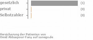100% gesetzlich versichert,0% privat versichert,0% Selbstzahler 100% gesetzlich versichert,0% privat versichert,0% Selbstzahler Bild