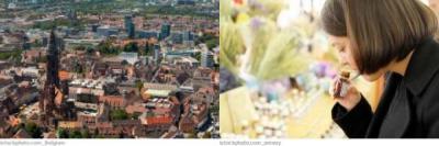 Freiburg Bachblütentherapie Freiburg Bachblütentherapie