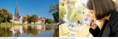 Ulm Bachblütentherapie